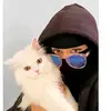 ryhab_8