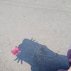 sarahh_imupp31