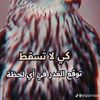 user2288634225854