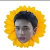 hnjin.skz