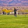 ian_7209