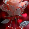 user123945151129
