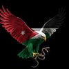 naik_alfors