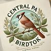 centralpabirdtok