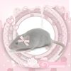 nova.rat2