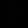 i_p1s