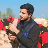azeem_malik20
