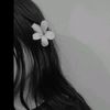 nishigirl177