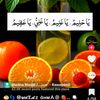saludin769