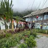 linh.giang387