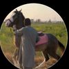 syewilahaider