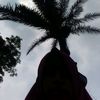 user783972426