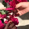 farhmjeed
