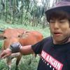 risolsedap