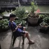 manhcuonghaysuy