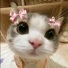 sekarrr_jae