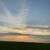 wedensetorry