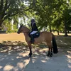 romanelabanane.2