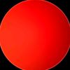 reddot559