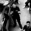 _tamer_8
