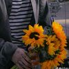 user9009158212hargosh