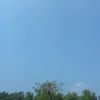 fino.karunia