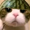 azrilsalto_123
