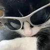 shyzzzsy3