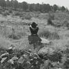 mehmet_460746