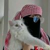 ranim9748