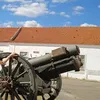 patrickbardecabus