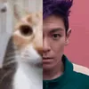 yn_tabi