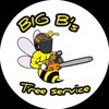 Big B