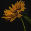 _inque01