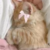 polina_magic4
