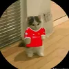 tuonglorr