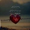 mfaisal81650