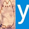 yachelilol