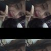 sicebolll02