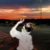 _6trainhungyeuemiu_