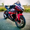user1320304636846