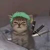 xuanhoa.vo6