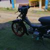 rsavnz22