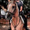 jaxequine