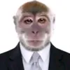 accnaychetroi