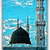 abbashaider2885