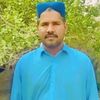 syedmajidalishah07