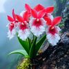 kyaw.naing.minn2