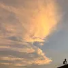 261800xxoo