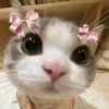 alina.cute27